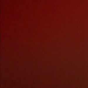 Meet your Posher, Arizbeth